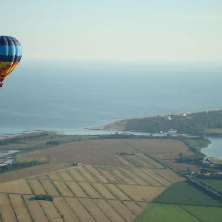 Sunny Steps From The Sea In *